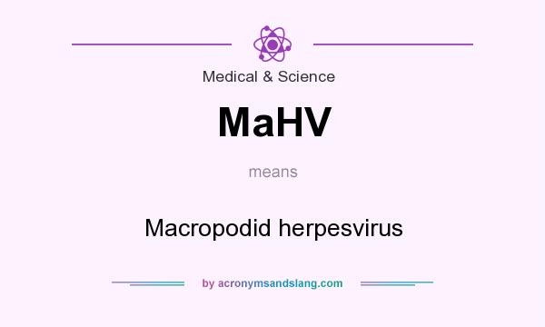 What does MaHV mean? It stands for Macropodid herpesvirus