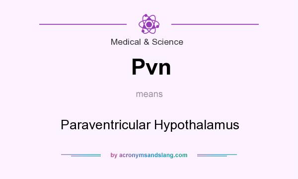 What does Pvn mean? It stands for Paraventricular Hypothalamus