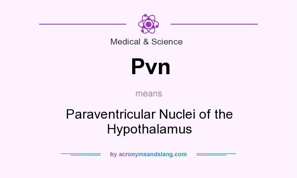 What does Pvn mean? It stands for Paraventricular Nuclei of the Hypothalamus