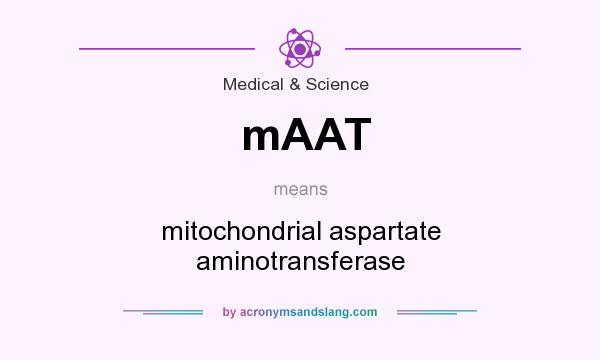 What does mAAT mean? It stands for mitochondrial aspartate aminotransferase