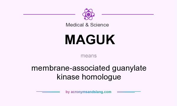 What does MAGUK mean? It stands for membrane-associated guanylate kinase homologue