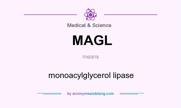 What does MAGL mean? It stands for monoacylglycerol lipase