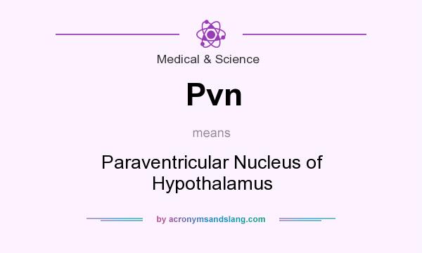 What does Pvn mean? It stands for Paraventricular Nucleus of Hypothalamus