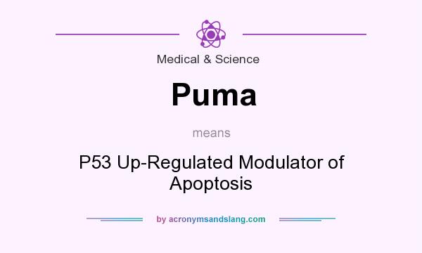 What does Puma mean? It stands for P53 Up-Regulated Modulator of Apoptosis