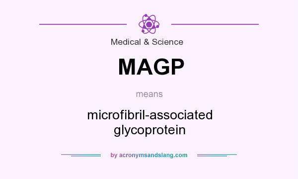 What does MAGP mean? It stands for microfibril-associated glycoprotein