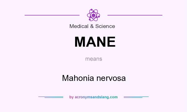 What does MANE mean? It stands for Mahonia nervosa