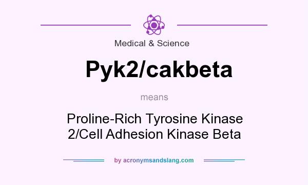 What does Pyk2/cakbeta mean? It stands for Proline-Rich Tyrosine Kinase 2/Cell Adhesion Kinase Beta