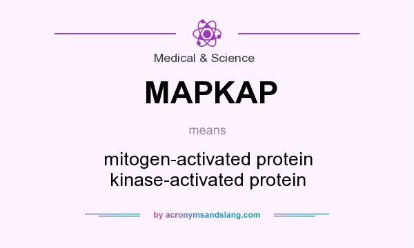 What does MAPKAP mean? It stands for mitogen-activated protein kinase-activated protein