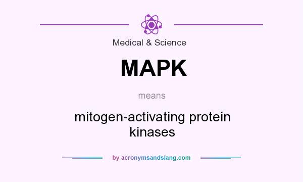 What does MAPK mean? It stands for mitogen-activating protein kinases