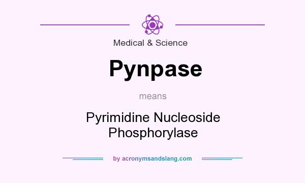 What does Pynpase mean? It stands for Pyrimidine Nucleoside Phosphorylase