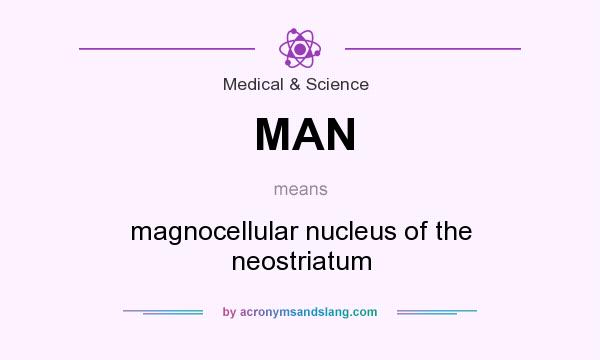 What does MAN mean? It stands for magnocellular nucleus of the neostriatum