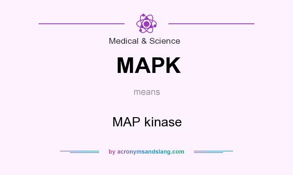 What does MAPK mean? It stands for MAP kinase