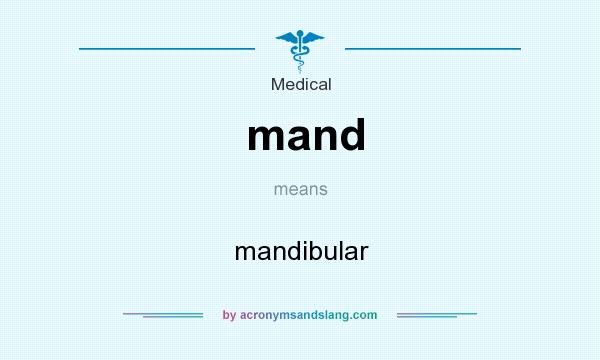 What does mand mean? It stands for mandibular