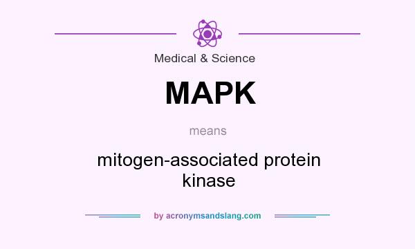 What does MAPK mean? It stands for mitogen-associated protein kinase