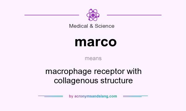 What does marco mean? It stands for macrophage receptor with collagenous structure