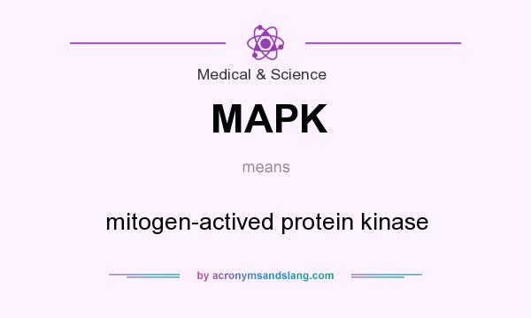 What does MAPK mean? It stands for mitogen-actived protein kinase