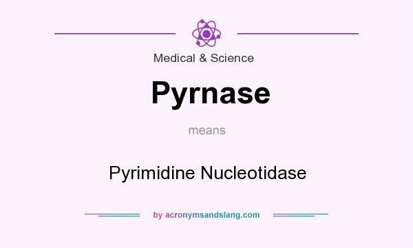 What does Pyrnase mean? It stands for Pyrimidine Nucleotidase