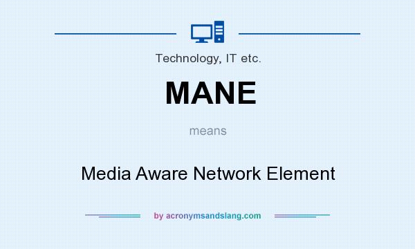 What does MANE mean? It stands for Media Aware Network Element
