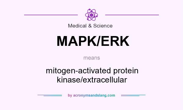 What does MAPK/ERK mean? It stands for mitogen-activated protein kinase/extracellular