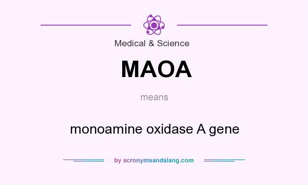 What does MAOA mean? It stands for monoamine oxidase A gene