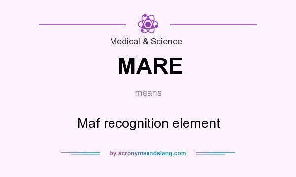 What does MARE mean? It stands for Maf recognition element