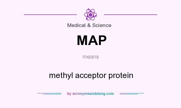 What does MAP mean? It stands for methyl acceptor protein