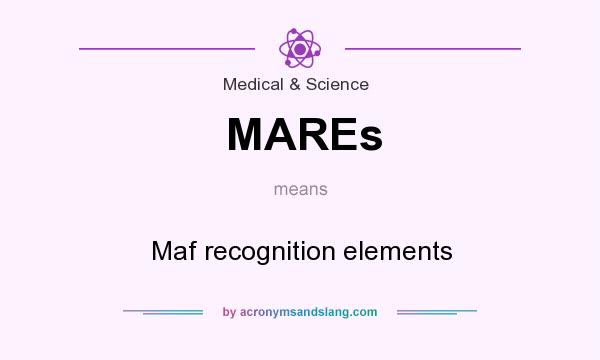 What does MAREs mean? It stands for Maf recognition elements