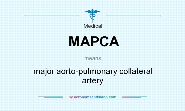 What does MAPCA mean? It stands for major aorto-pulmonary collateral artery