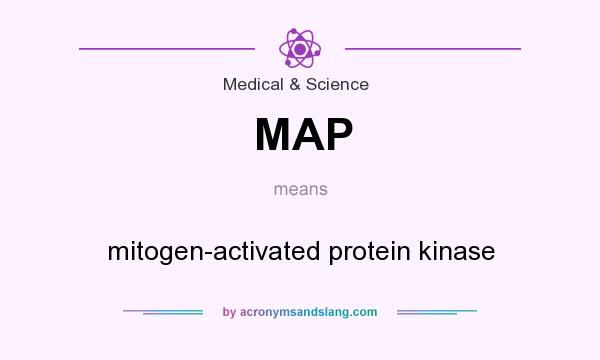 What does MAP mean? It stands for mitogen-activated protein kinase