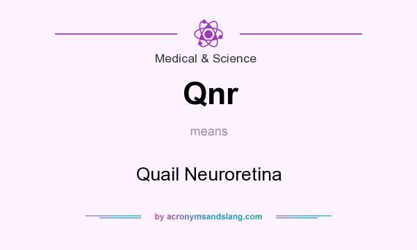 What does Qnr mean? It stands for Quail Neuroretina
