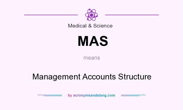 What does MAS mean? It stands for Management Accounts Structure