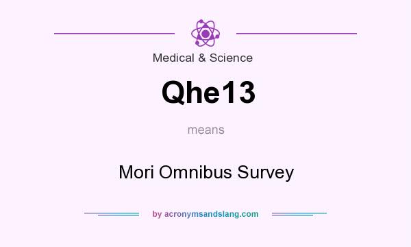 What does Qhe13 mean? It stands for Mori Omnibus Survey
