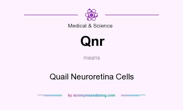 What does Qnr mean? It stands for Quail Neuroretina Cells