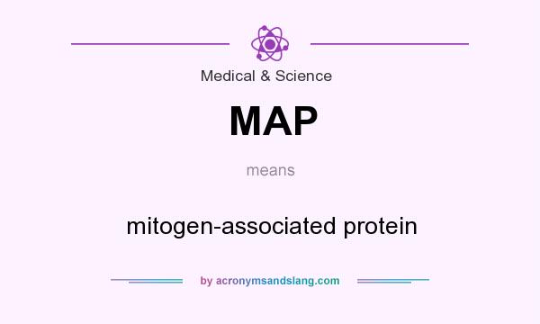 What does MAP mean? It stands for mitogen-associated protein