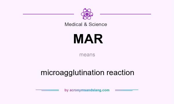 What does MAR mean? It stands for microagglutination reaction