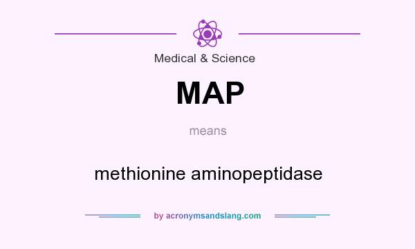 What does MAP mean? It stands for methionine aminopeptidase