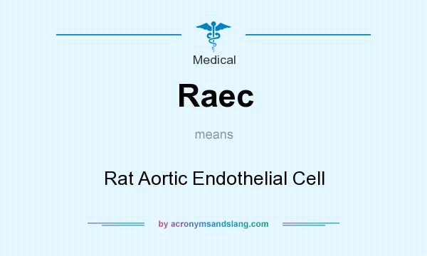 What does Raec mean? It stands for Rat Aortic Endothelial Cell