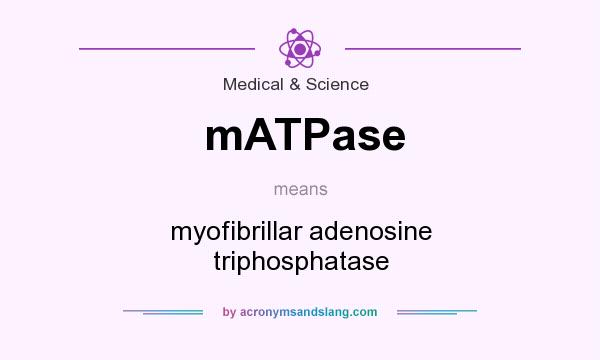 What does mATPase mean? It stands for myofibrillar adenosine triphosphatase
