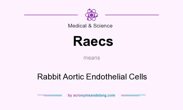 What does Raecs mean? It stands for Rabbit Aortic Endothelial Cells