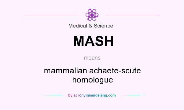 What does MASH mean? It stands for mammalian achaete-scute homologue