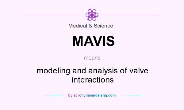 What does MAVIS mean? It stands for modeling and analysis of valve interactions