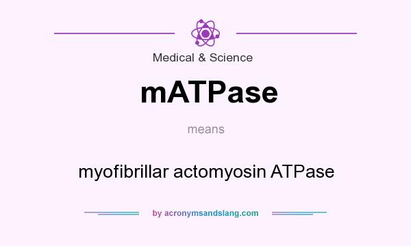 What does mATPase mean? It stands for myofibrillar actomyosin ATPase