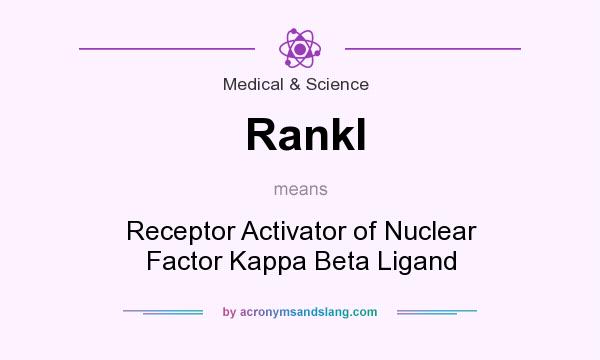 What does Rankl mean? It stands for Receptor Activator of Nuclear Factor Kappa Beta Ligand