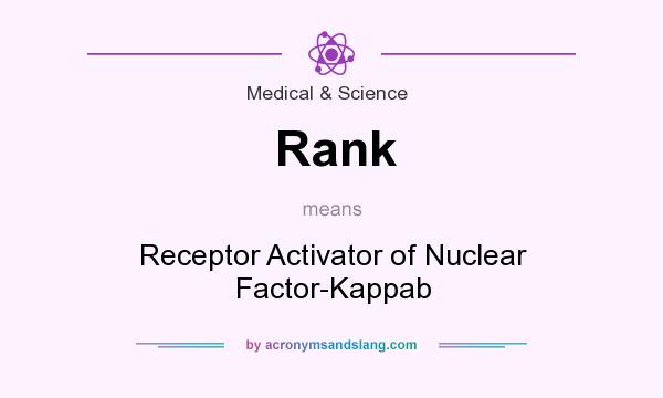 What does Rank mean? It stands for Receptor Activator of Nuclear Factor-Kappab