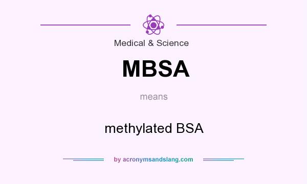 What does MBSA mean? It stands for methylated BSA