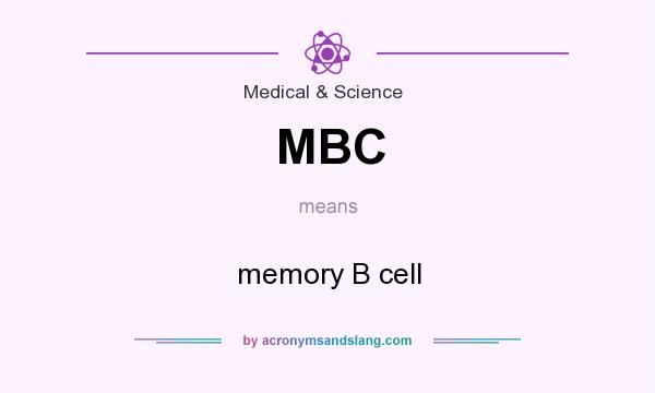 What does MBC mean? It stands for memory B cell