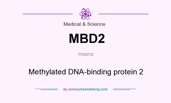 What does MBD2 mean? It stands for Methylated DNA-binding protein 2