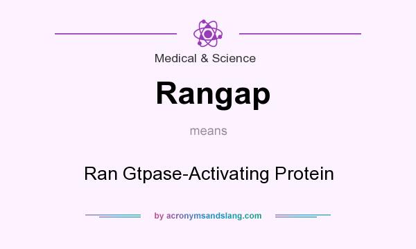 What does Rangap mean? It stands for Ran Gtpase-Activating Protein