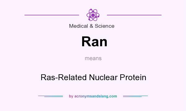 What does Ran mean? It stands for Ras-Related Nuclear Protein