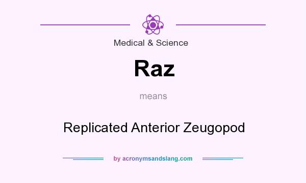 What does Raz mean? It stands for Replicated Anterior Zeugopod